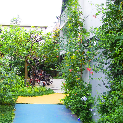 賃貸マンションのオーナー住宅　壁面緑化